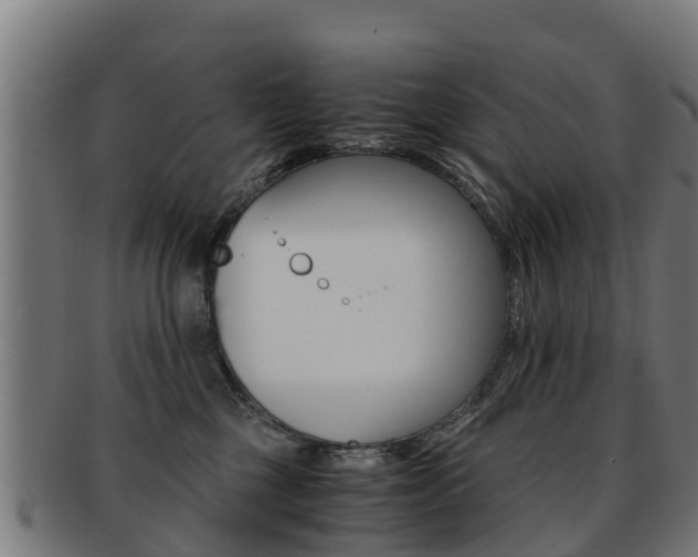 X0000091920377200709051236