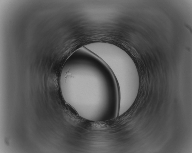 X0000091920380200709051236
