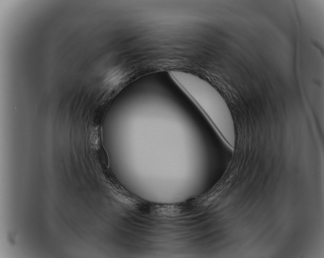 X0000091920383200709051236