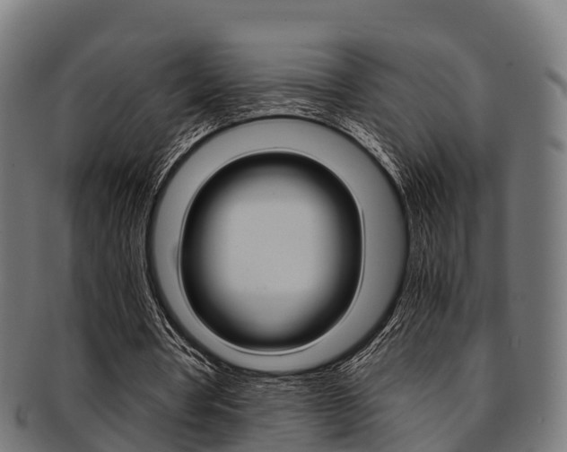 X0000091920386200709051235