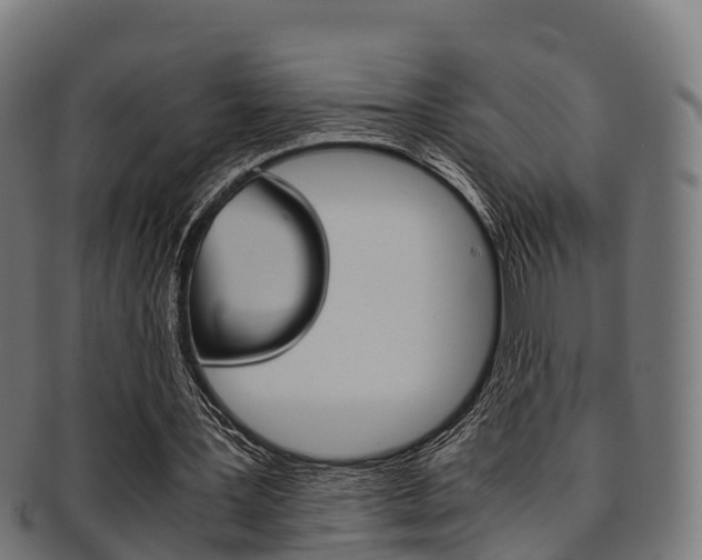 X0000091920387200709051235