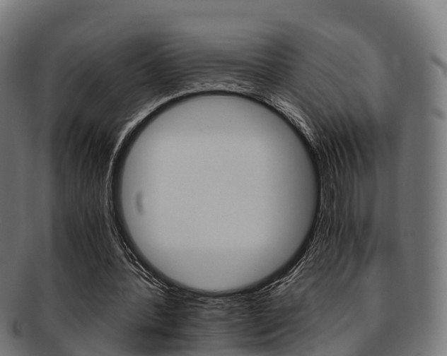 X0000091920388200709051235