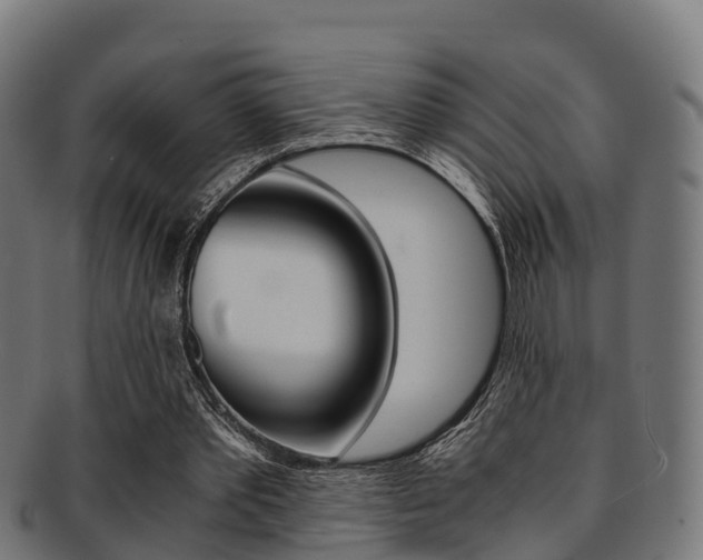 X0000091920389200709051235