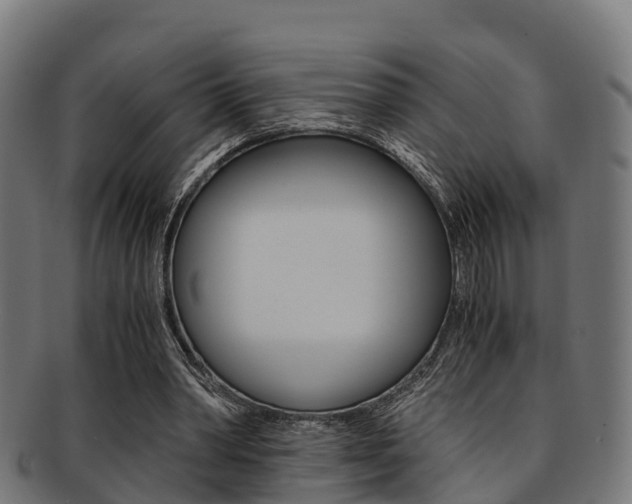 X0000091920390200709051235