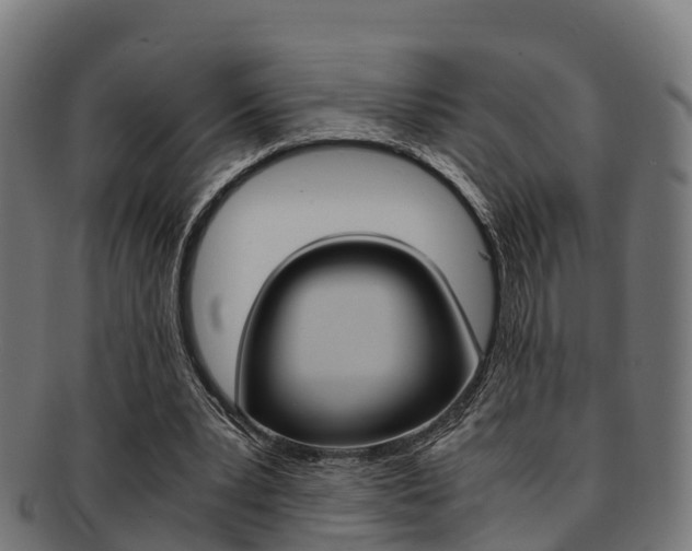 X0000091920391200709051235