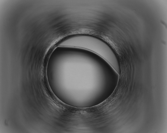 X0000091920392200709051235