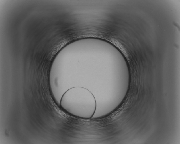 X0000091920393200709051235
