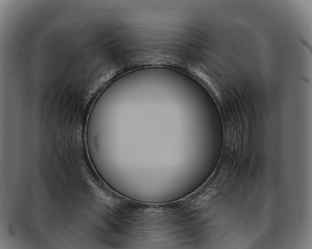 X0000091920394200709051235