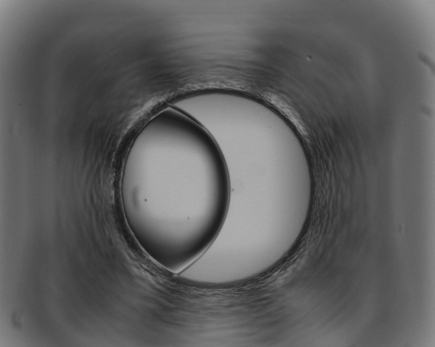 X0000091920395200709051235