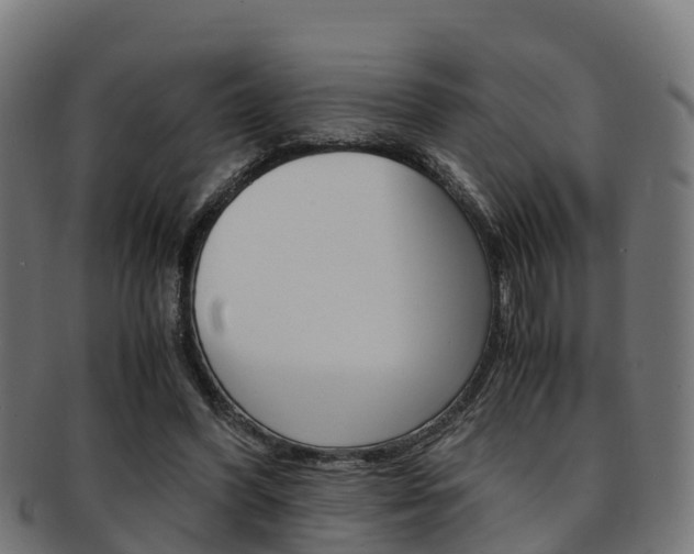 X0000091920396200709051235