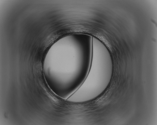 X0000091920397200709051235