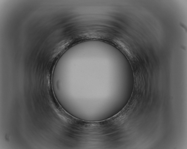 X0000091920398200709051235