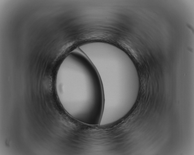 X0000091920400200709051235