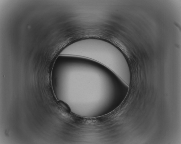 X0000091920401200709051235