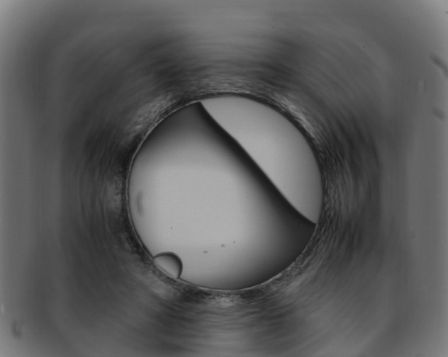 X0000091920402200709051235