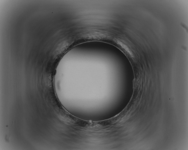X0000091920403200709051235