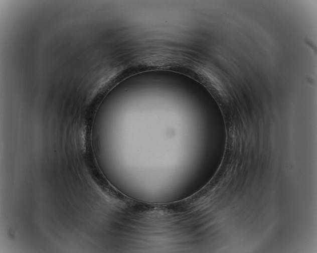 X0000091920404200709051235