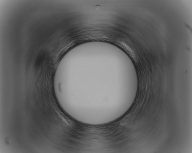 X0000091920405200709051235