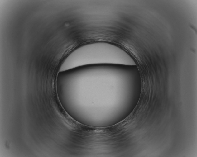 X0000091920406200709051235