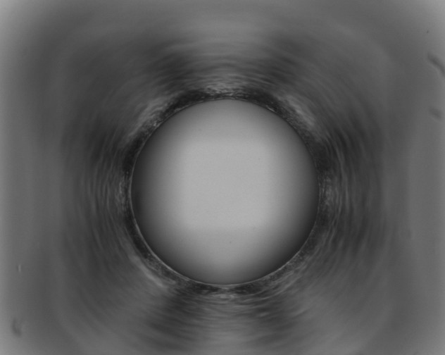 X0000091920408200709051235