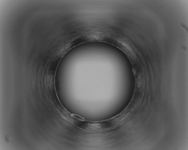 X0000091920409200709051235