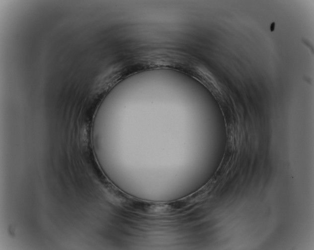 X0000091920410200709051235