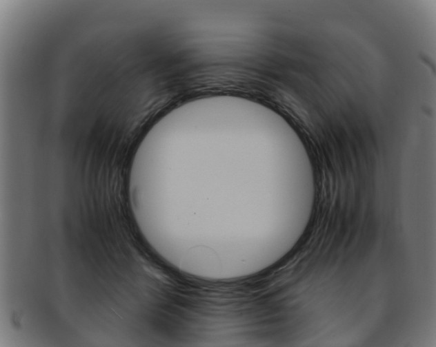 X0000091920412200709051235