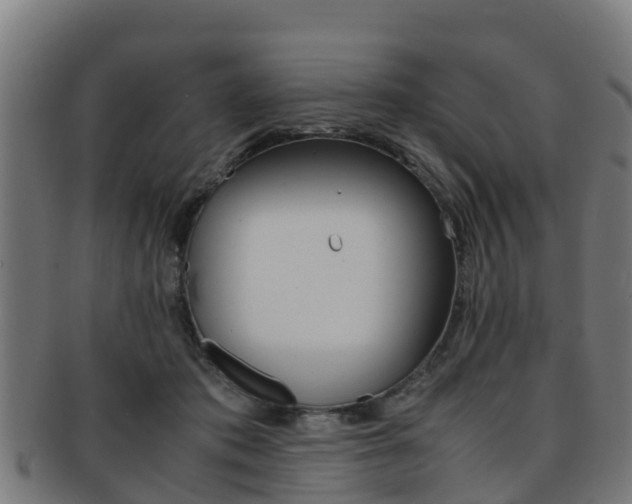 X0000091920413200709051235