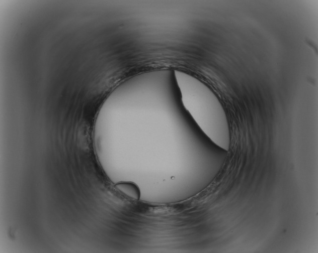 X0000091920414200709051235