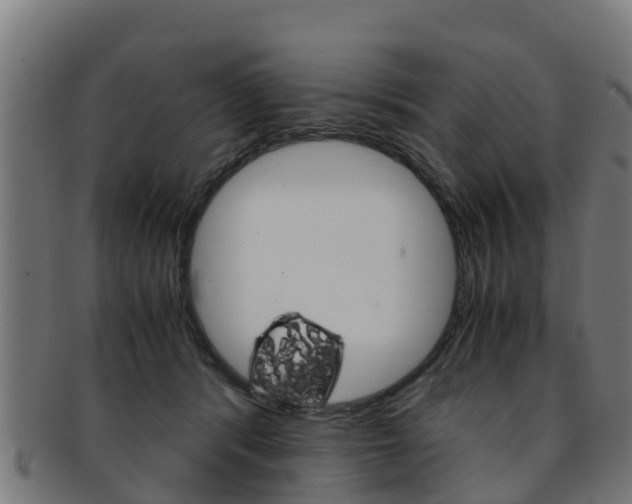 X0000091920416200709051235