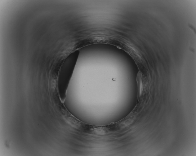 X0000091920417200709051235