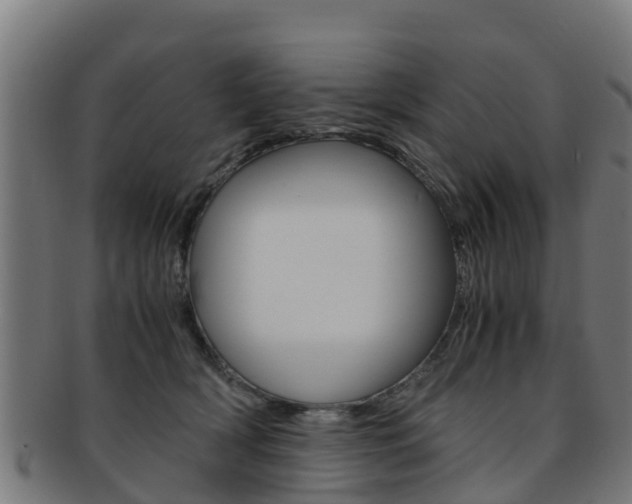 X0000091920418200709051235