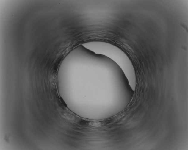 X0000091920419200709051235