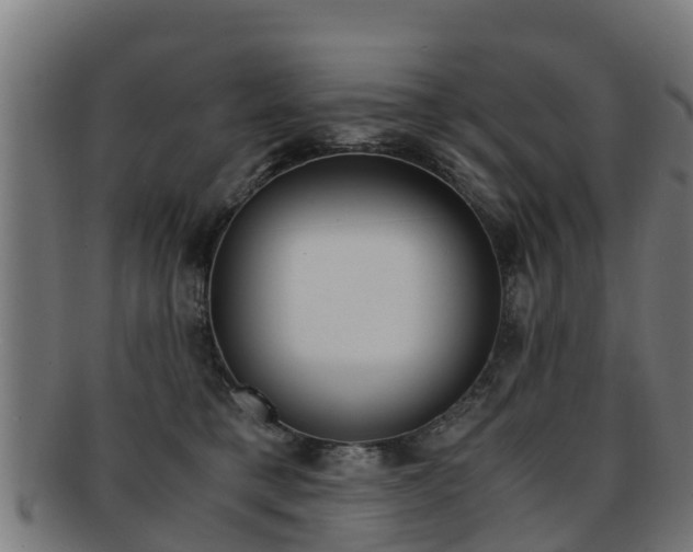 X0000091920421200709051235