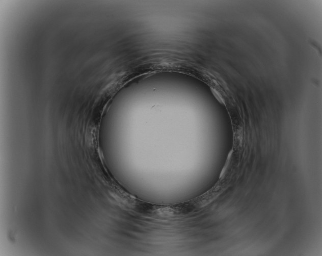 X0000091920423200709051235
