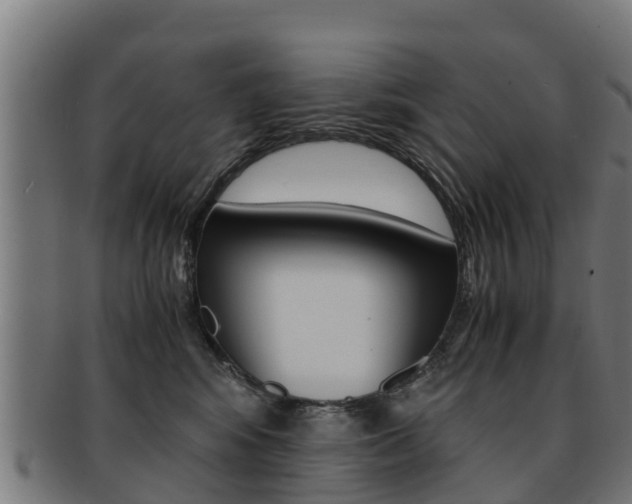 X0000091920424200709051235