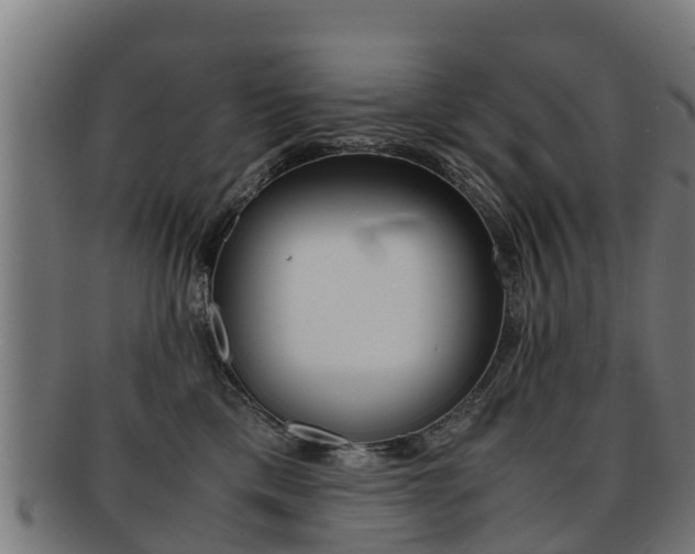 X0000091920425200709051235