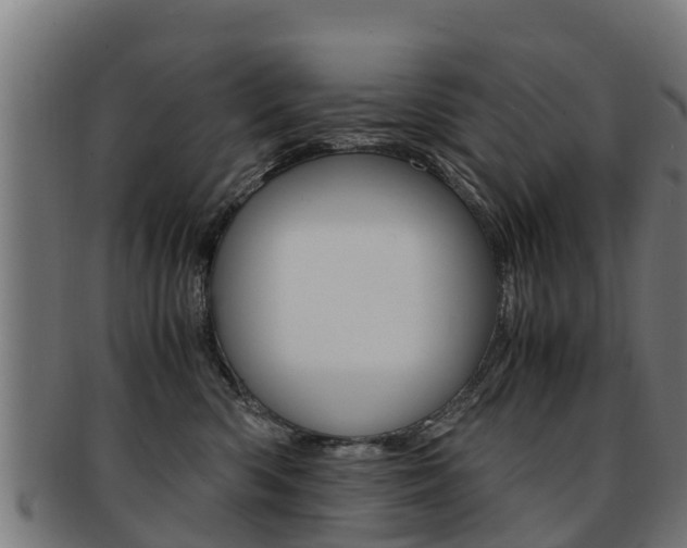 X0000091920426200709051235