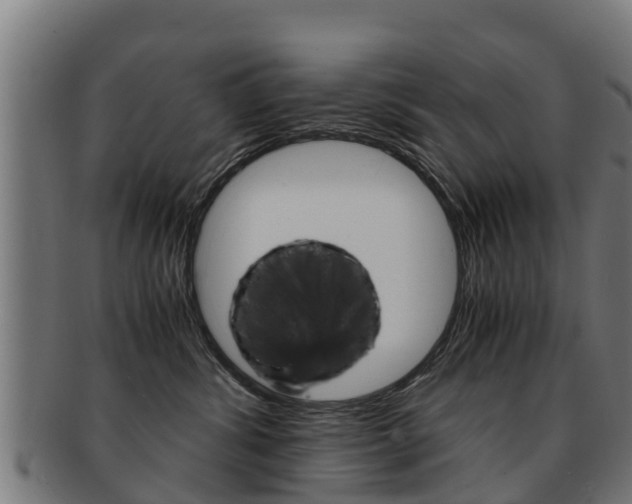 X0000091920428200709051235