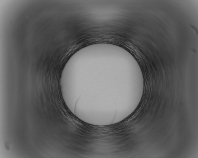X0000091920429200709051234