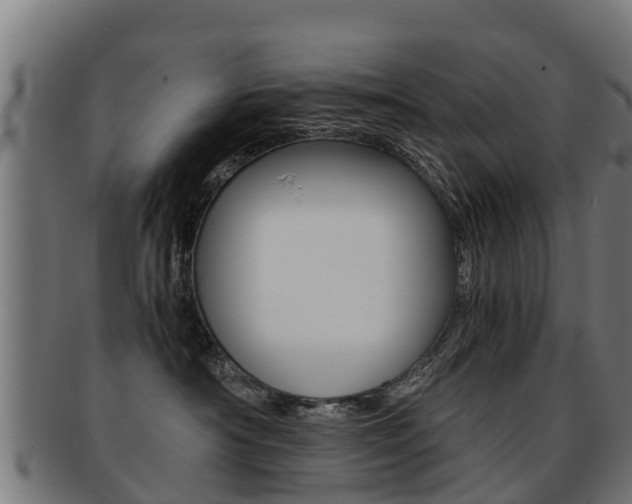 X0000091920430200709051234