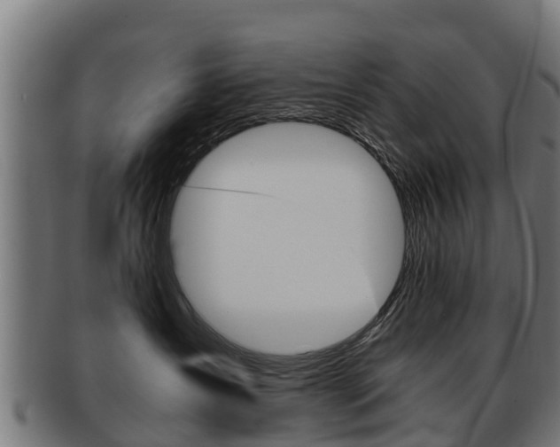 X0000091920431200709051234