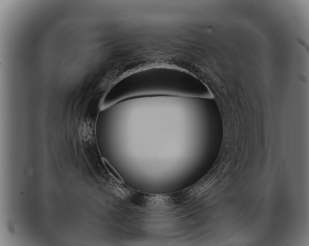 X0000091920432200709051234