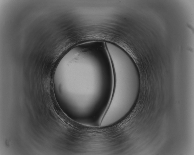 X0000091920434200709051234