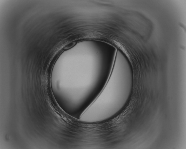X0000091920435200709051234