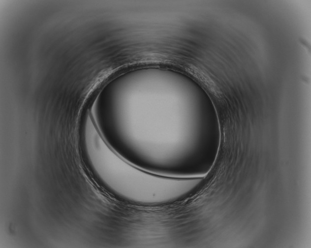 X0000091920436200709051234