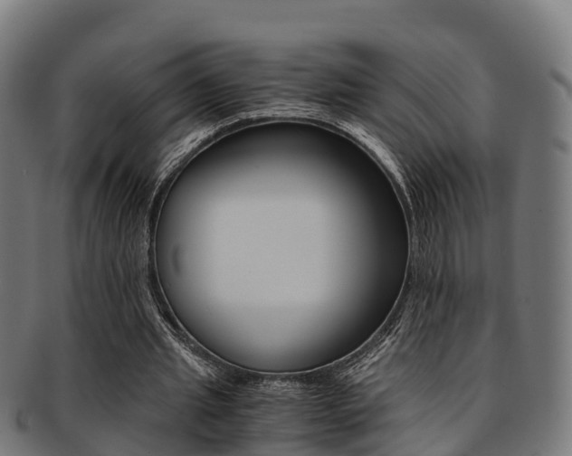 X0000091920437200709051234