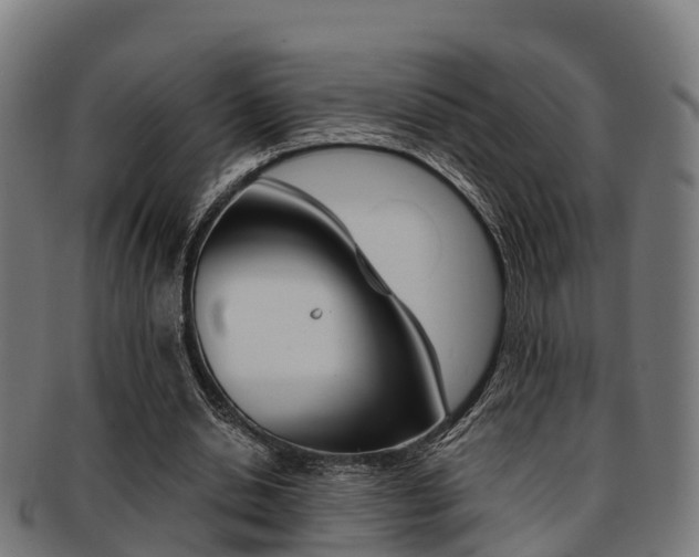 X0000091920438200709051234