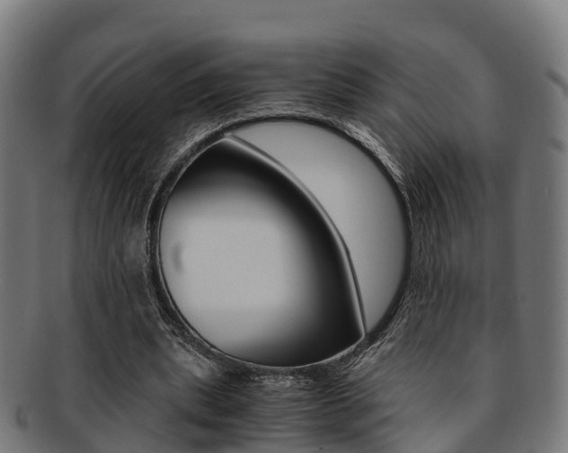 X0000091920439200709051234
