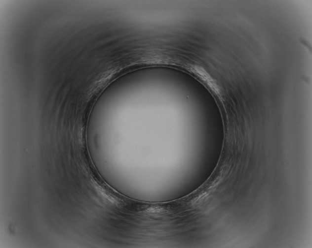 X0000091920441200709051234